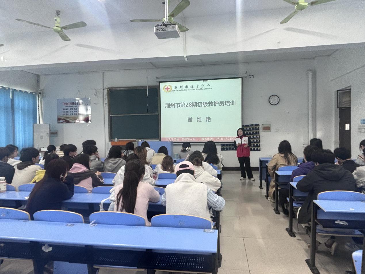 c33247db79234da4972490c9cd62dd53