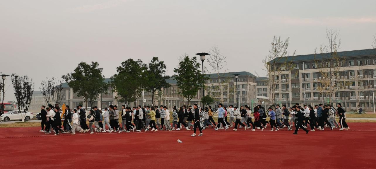 Image1