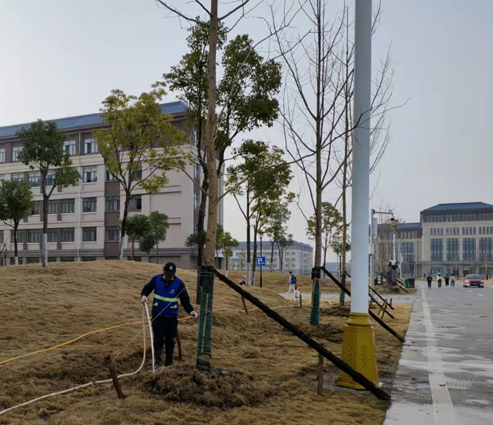 美化校园环境 提升育人效果
